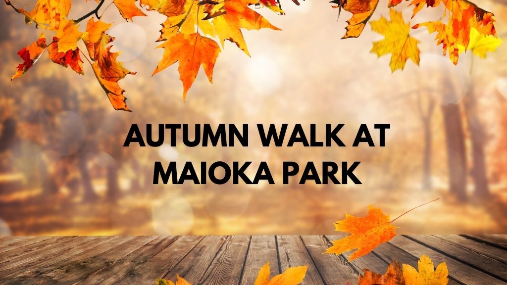 Autumn Walk at Maioka Park